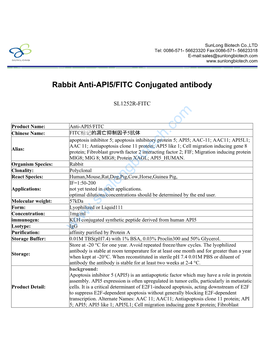 Rabbit Anti-API5/FITC Conjugated Antibody-SL1252R-FITC