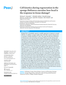 Cell Kinetics During Regeneration in the Sponge Halisarca Caerulea: How Local Is the Response to Tissue Damage?