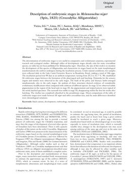 Description of Embryonic Stages in Melanosuchus Niger (Spix, 1825) (Crocodylia: Alligatoridae)