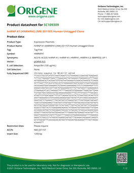 Hnrnp A1 (HNRNPA1) (NM 031157) Human Untagged Clone – SC109309 | Origene