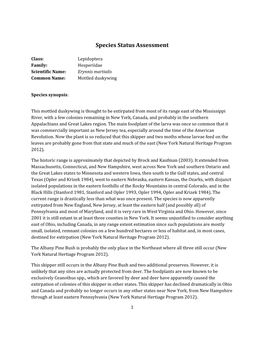 Species Assessment for Mottled Duskywing