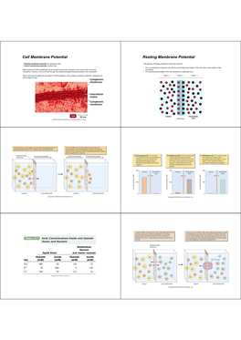 Cell Membrane Potential Resting Membrane Potential