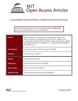 Lamellipodin-Deficient Mice: a Model of Rectal Carcinoma