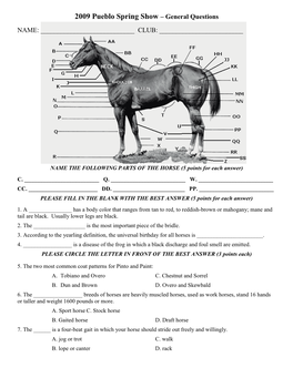 Spring Show – General Questions NAME: ______CLUB: ______