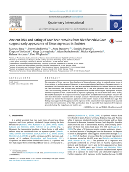 Ancient DNA and Dating of Cave Bear Remains from Niedzwiedzia Cave Suggest Early Appearance of Ursus Ingressus in Sudetes