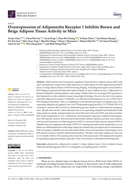 Overexpression of Adiponectin Receptor 1 Inhibits Brown and Beige Adipose Tissue Activity in Mice