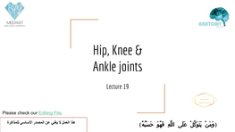 Hip, Knee & Ankle Joints