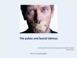 The Palate and Faucial Isthmus