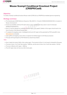 Mouse Scamp2 Conditional Knockout Project (CRISPR/Cas9)