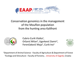 Estimation of Inbreeding and Effective Population Size in Istrian Cattle