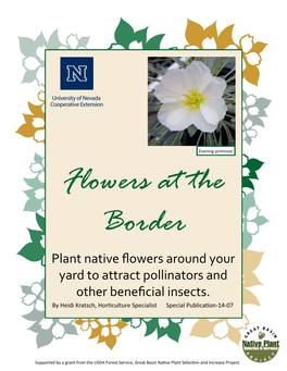 Border Flowers for Beneficials