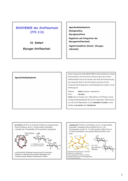 1 BIOCHEMIE Des Stoffwechsels