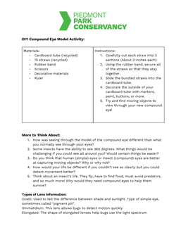DIY Compound Eye Model Activity