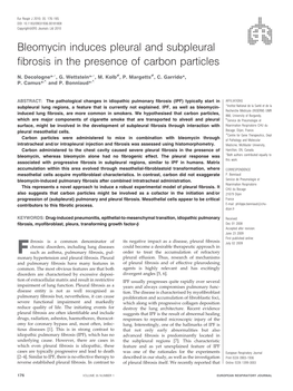 Bleomycin Induces Pleural and Subpleural Fibrosis in the Presence of Carbon Particles