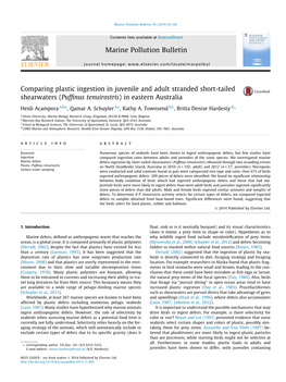 Comparing Plastic Ingestion in Juvenile and Adult Stranded Short-Tailed Shearwaters (Puffinus Tenuirostris) in Eastern Australia