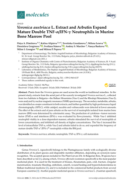 Veronica Austriaca L. Extract and Arbutin Expand Mature Double TNF-Α/IFN-Γ Neutrophils in Murine Bone Marrow Pool