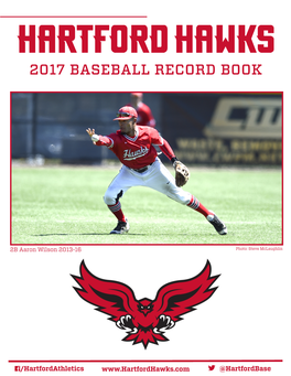 2017 Baseball Record Book