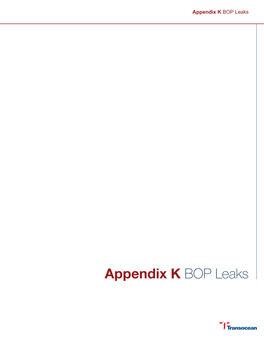 Appendix K BOP Leaks