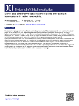 And Dihydroxyeicosatetraenoic Acids Alter Calcium Homeostasis in Rabbit Neutrophils