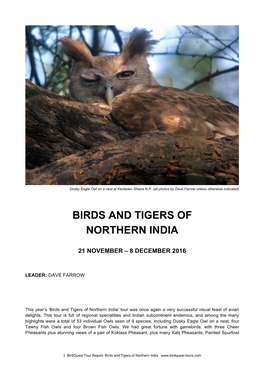 Birds and Tigers of Northern India