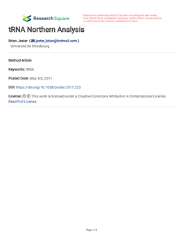 Trna Northern Analysis