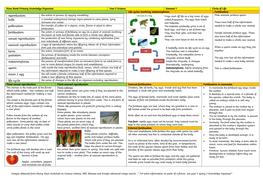 Reproduction Bulb Pollination Fertilisation Sexual Reproduction