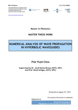 Numerical Analysis of Wave Propagation in Hyperbolic Waveguides