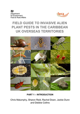 Field Guide Invasives Pests in Caribbean Ukots Part 1