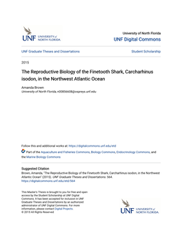 The Reproductive Biology of the Finetooth Shark, Carcharhinus Isodon, in the Northwest Atlantic Ocean