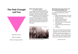 The Pink Triangle And