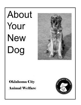 Oklahoma City Animal Welfare