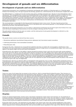 Development of Gonads and Sex Differentiation