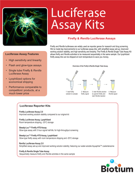 Luciferase Assays Flyer