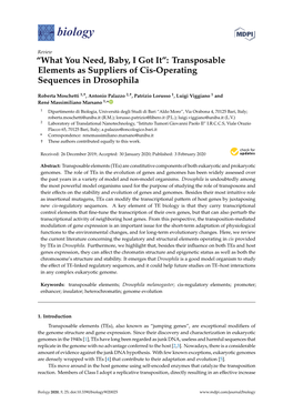 “What You Need, Baby, I Got It”: Transposable Elements As Suppliers of Cis-Operating Sequences in Drosophila