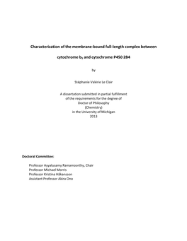 Characterization of the Membrane-Bound Full-Length Complex Between Cytochrome B5 and Cytochrome P450