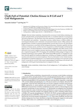 Chok-Full of Potential: Choline Kinase in B Cell and T Cell Malignancies