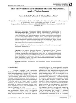 SEM Observations on Seeds of Some Herbaceous Phyllanthus L. Species (Phyllanthaceae)