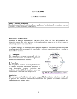 SEM 6 BOTANY C13T Plant Metabolism