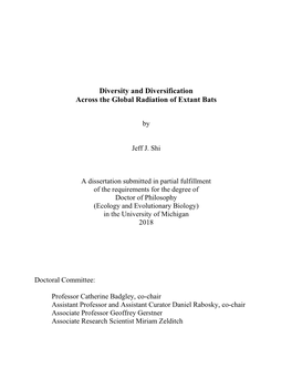 Diversity and Diversification Across the Global Radiation of Extant Bats