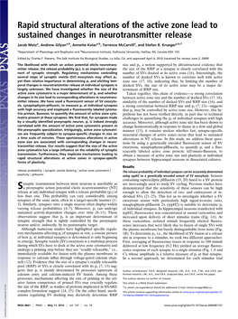 Rapid Structural Alterations of the Active Zone Lead to Sustained Changes in Neurotransmitter Release