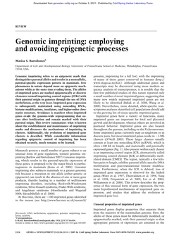 Genomic Imprinting: Employing and Avoiding Epigenetic Processes