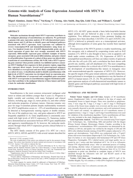 Genome-Wide Analysis of Gene Expression Associated with MYCN in Human Neuroblastoma1,2