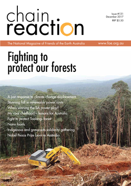 Fighting to Protect Our Forests