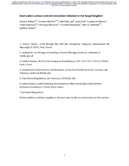 Codon Context Controls Translation Initiation in the Fungal Kingdom