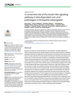 A Conserved Role of the Insulin-Like Signaling Pathway in Diet-Dependent Uric Acid Pathologies in Drosophila Melanogaster