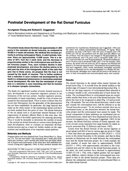 Postnatal Development of the Rat Dorsal Funiculus