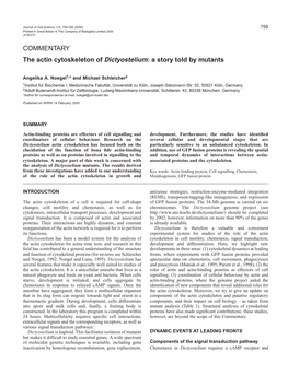 The Actin Cytoskeleton of Dictyostelium: a Story Told by Mutants