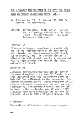 THE HUSBANDRY and BREEDING of the ROSY BOA LICHA- By