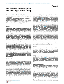 The Earliest Pterodactyloid and the Origin of the Group