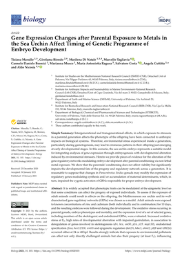 Gene Expression Changes After Parental Exposure to Metals in the Sea Urchin Affect Timing of Genetic Programme of Embryo Development